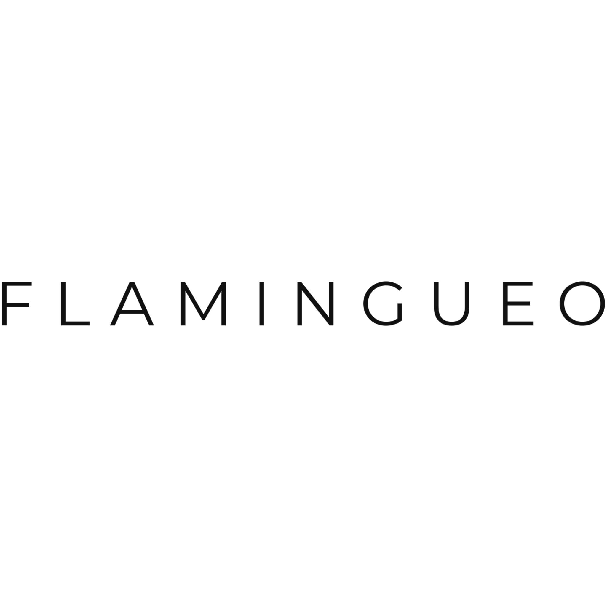 logo bn flamingueo 2